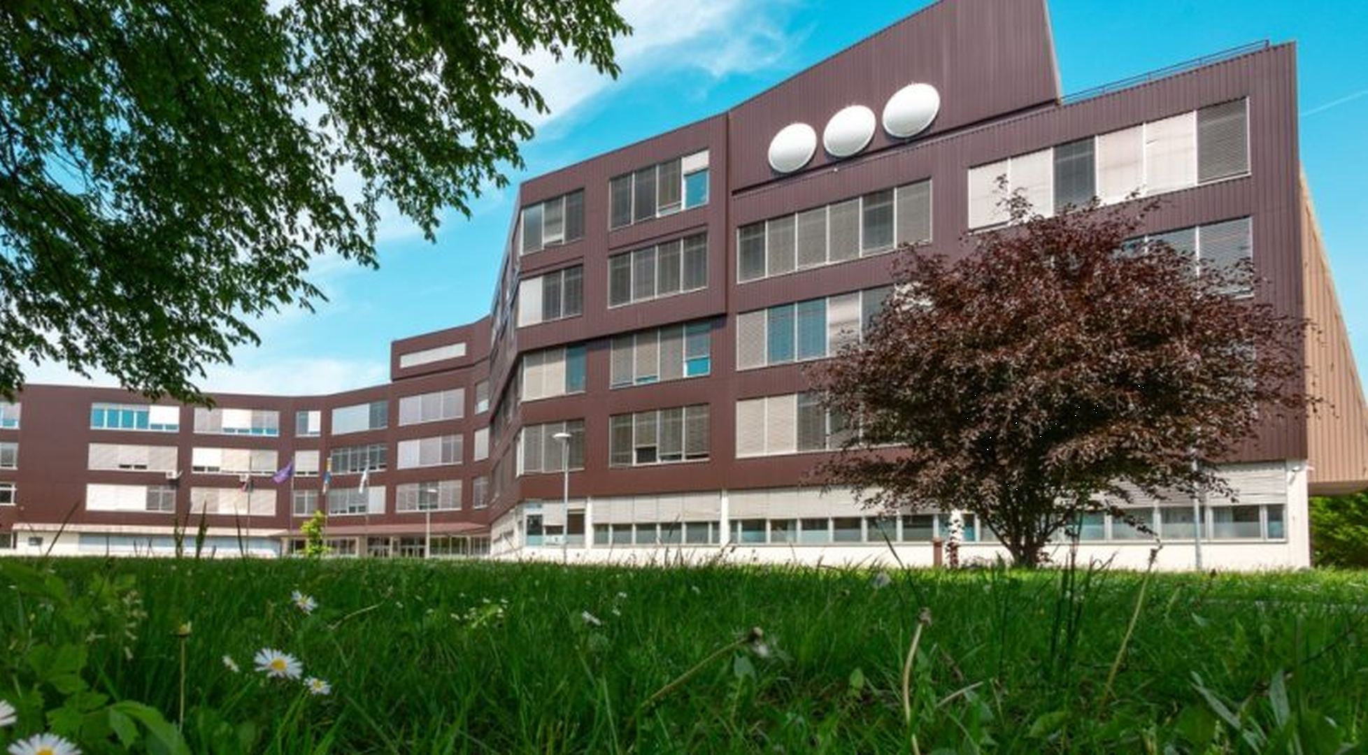 Dedi in babi AI HECatlon