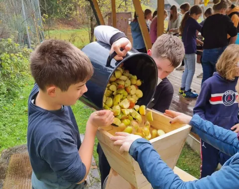 Izkustveno učenje v naravi opremi mlade s ključnimi veščinami za življenje.png